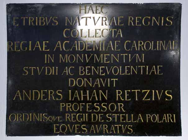Minnestavla &ouml;ver Retzius