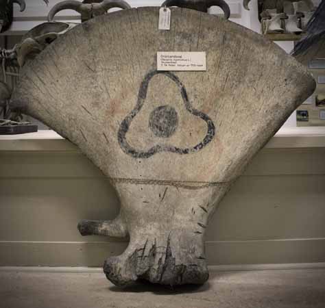M&aring;lat skulderblad