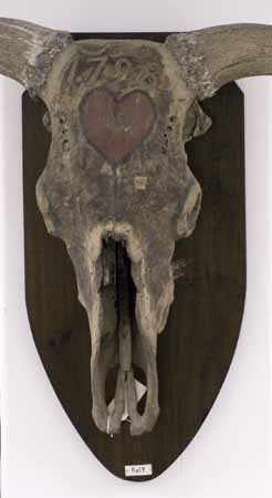 Uroxekranium med m&aring;lning