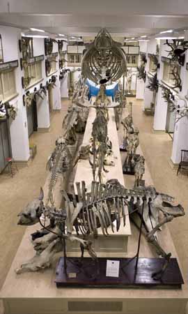 Sven Nilsson-hallen uppifr&aring;n