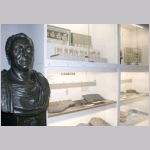 Carl von Linn&eacute; d.y., fossil