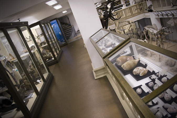 Fr&aring;n Retziusgalleriet