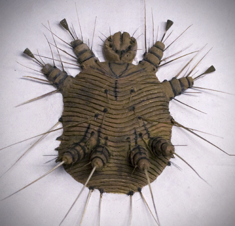 Skabbkvalster, modell