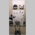 Schimpans, m&auml;nniskans utveckling