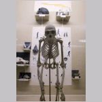 M&auml;nniskans utveckling