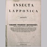 Insecta Lapponica